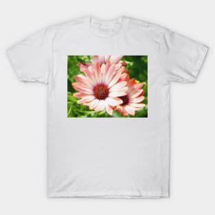 Macro Pink Cinnamon Tradwind Daisy Flower in the Garden T-Shirt